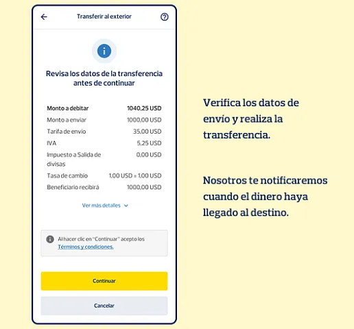 Revisa la información y realiza la transferencia internacional.