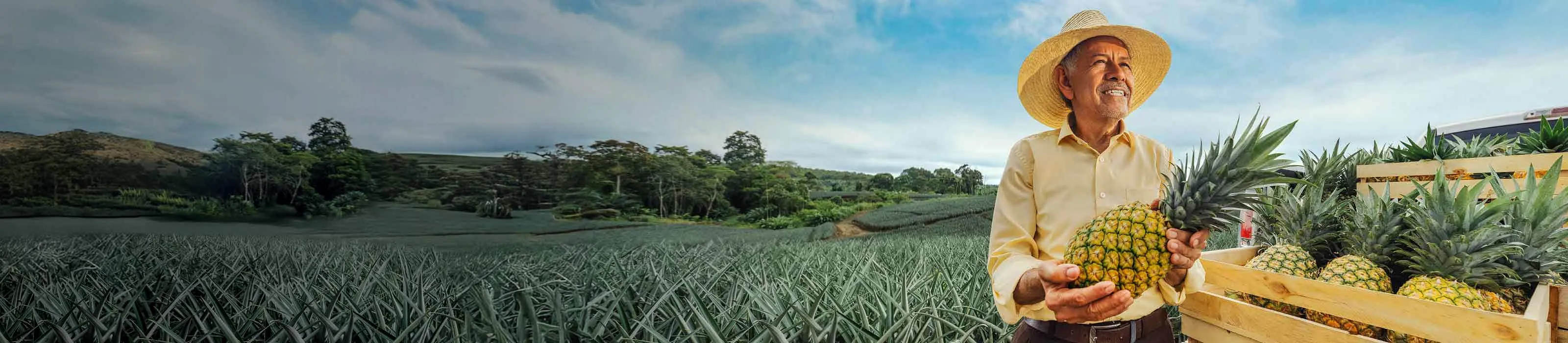 Confianza es creer que juntos cultivamos el futuro del país.