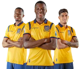 Déjate llevar a la copa Mundial de la FIFA, gracias a Visa.