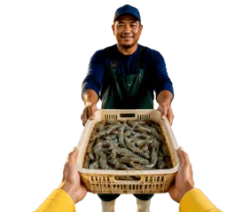 Créditos para agronegocios