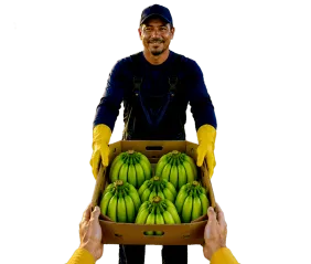 Créditos para agronegocios