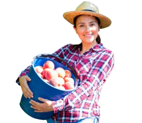 Entabla alianzas estratégicas que ayudarán a tu agronegocio