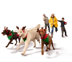 Tarjetas Navidad 2023