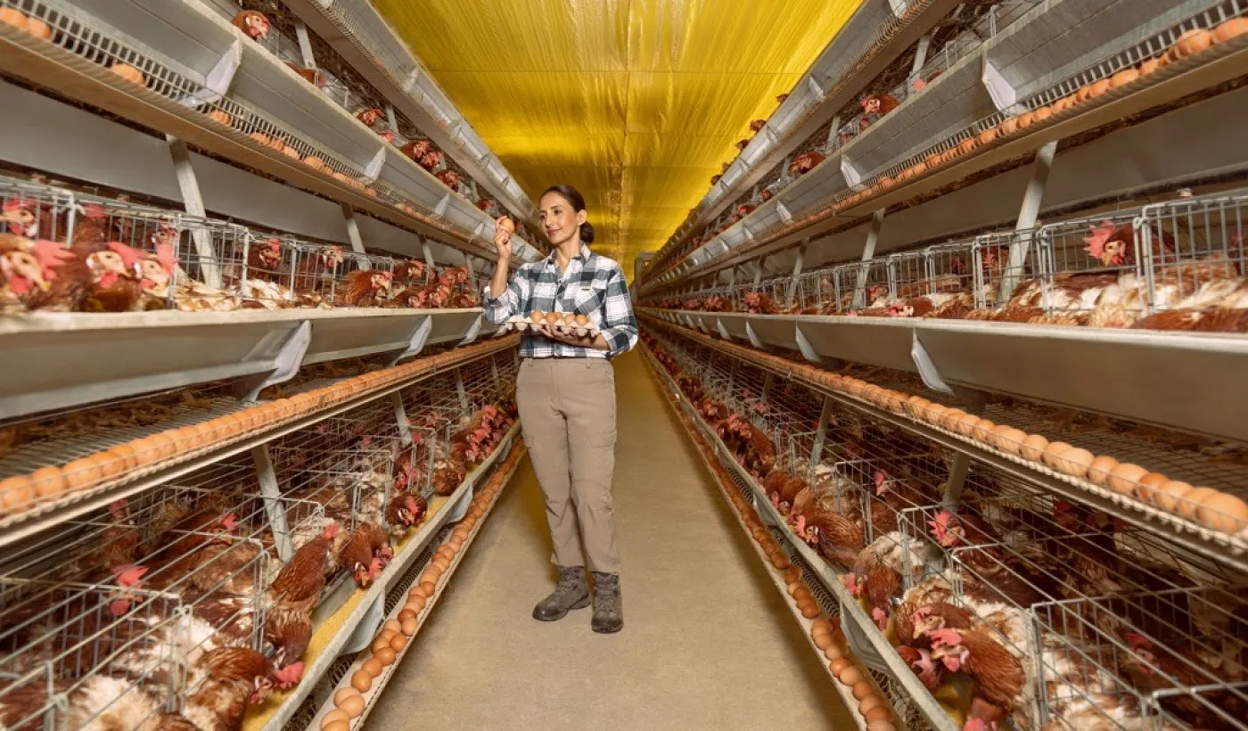 ¿Qué es un crédito productivo y para qué sirve?