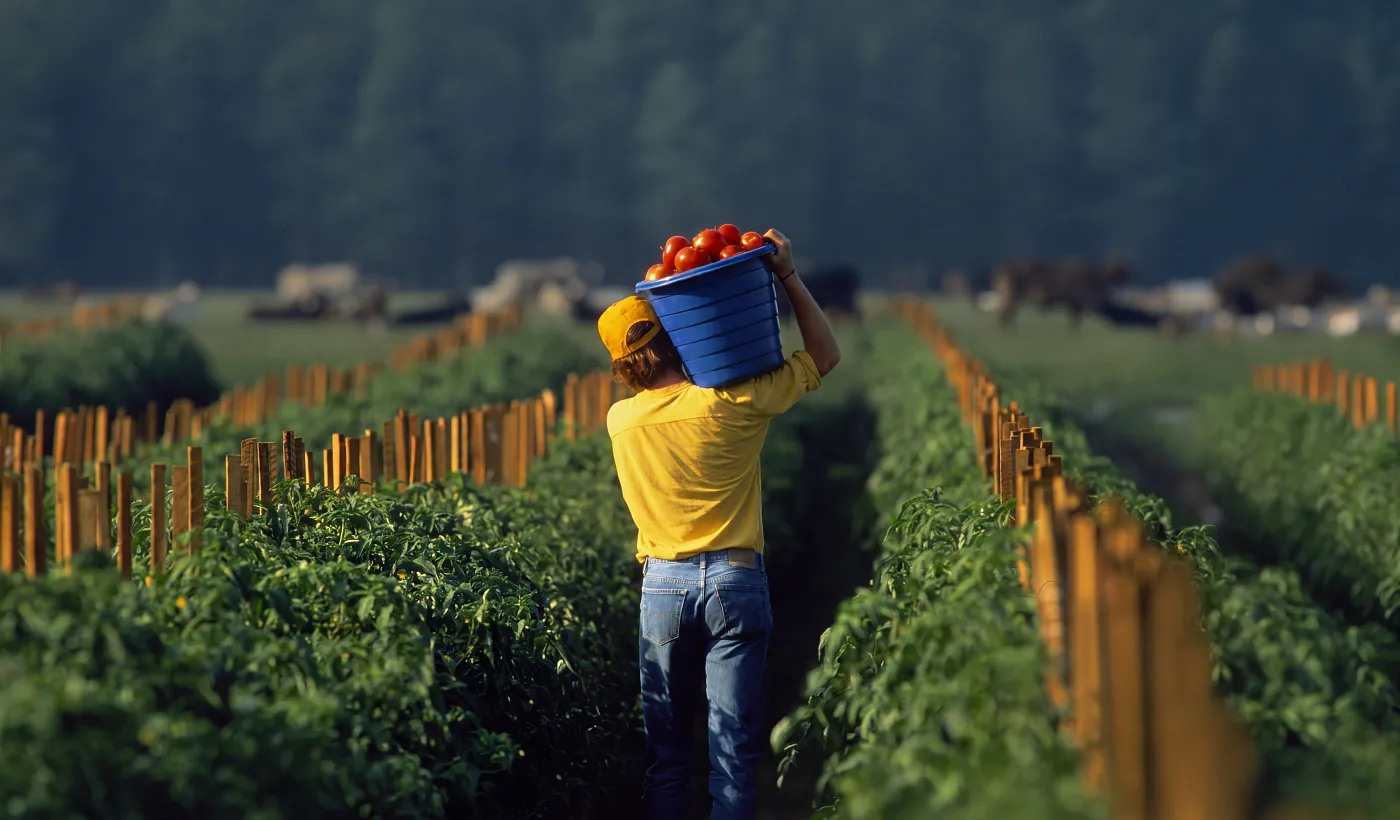 Banco Pichincha impulsa la prevención del sector agro ante el Fenómeno de El Niño 2026