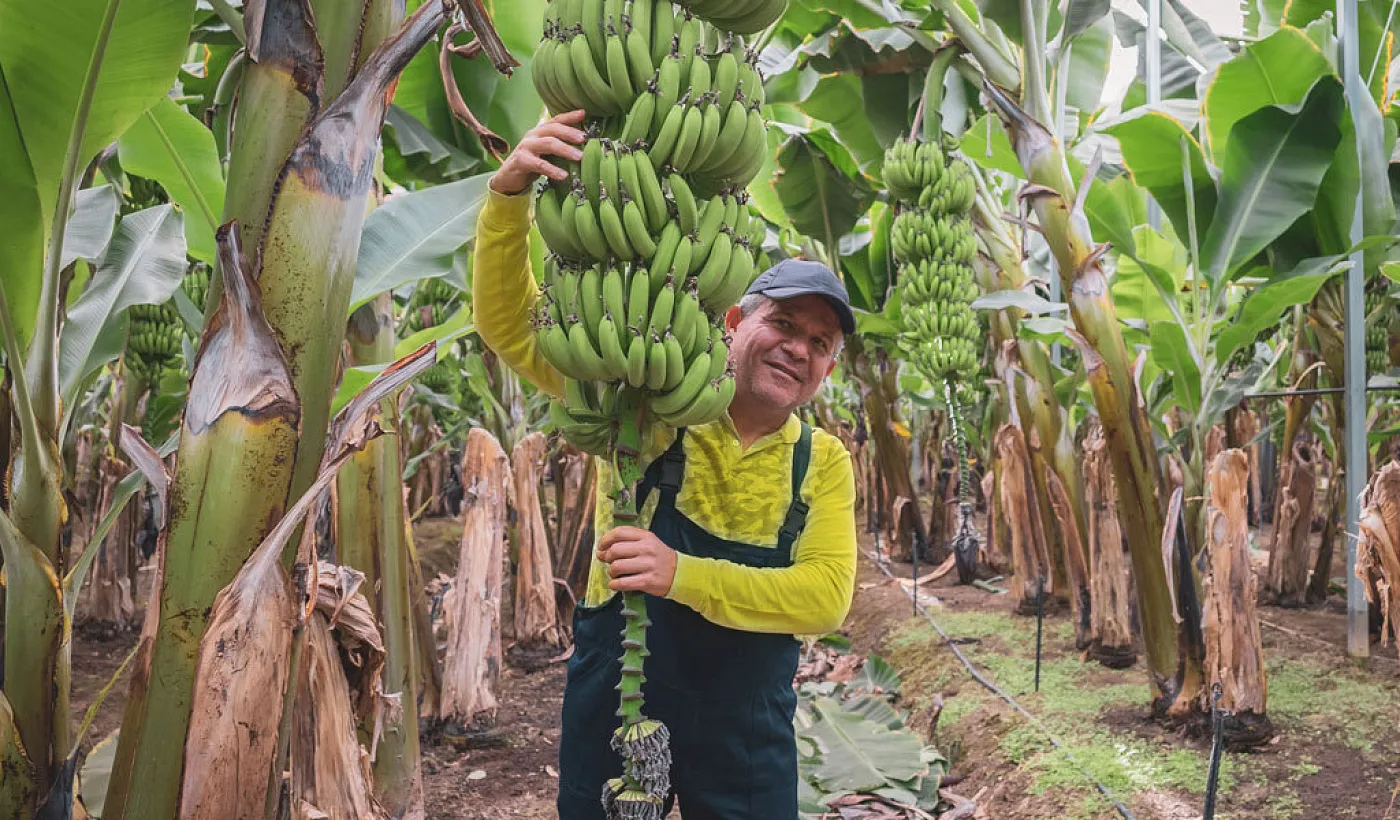 Escuelas Agro: aprendizaje continuo para apoyar al crecimiento del sector agropecuario Escuelas Agro: aprendizaje continuo para apoyar al crecimiento del sector agropecuario