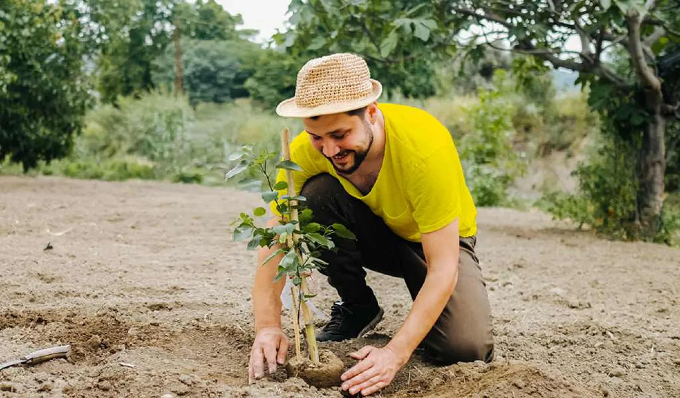 Banco Pichincha reforesta con árboles nativos y ratifica su compromiso por promover entornos sostenibles Banco Pichincha reforesta con árboles nativos y ratifica su compromiso por promover entornos sostenibles